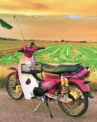 Gambar motor EX5 pink sawah padi